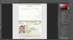 Japan Passport